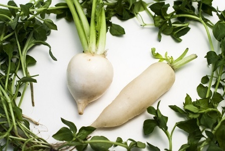 根菜で身体を温める